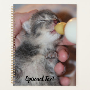 Bottle Feeding Newborn Rescue Tabby Kitten Planner