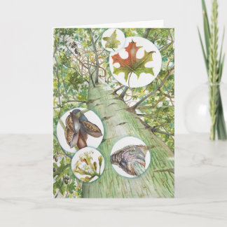 Bottle Tree Greeting Card (5" x 7") with Envelope