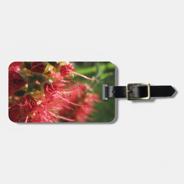 Bottlebrush Tendrils Luggage Tag (Front Horizontal)