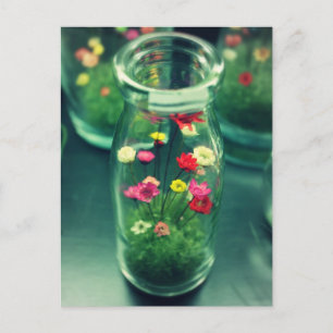 Bottled Flowers Postcard