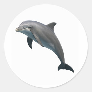Bottlenose Bliss Classic Round Sticker