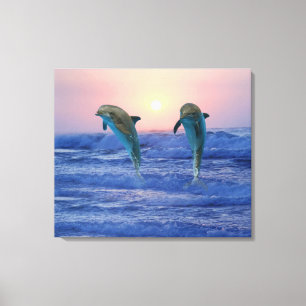Bottlenose Dolphin at Sunrise Canvas Print