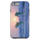 Bottlenose Dolphin at Sunrise