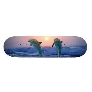 Bottlenose Dolphin at Sunrise Skateboard