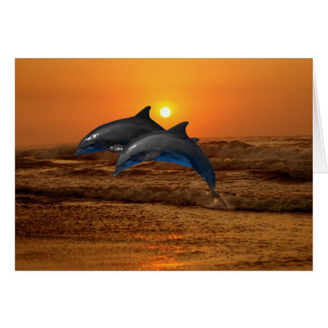 Bottlenose Dolphin at Sunset (Front Horizontal)