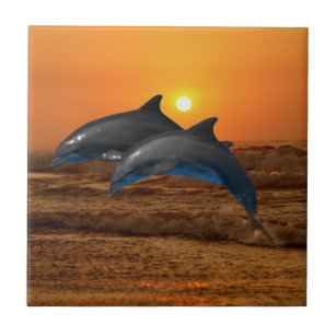 Bottlenose Dolphin at Sunset Tile