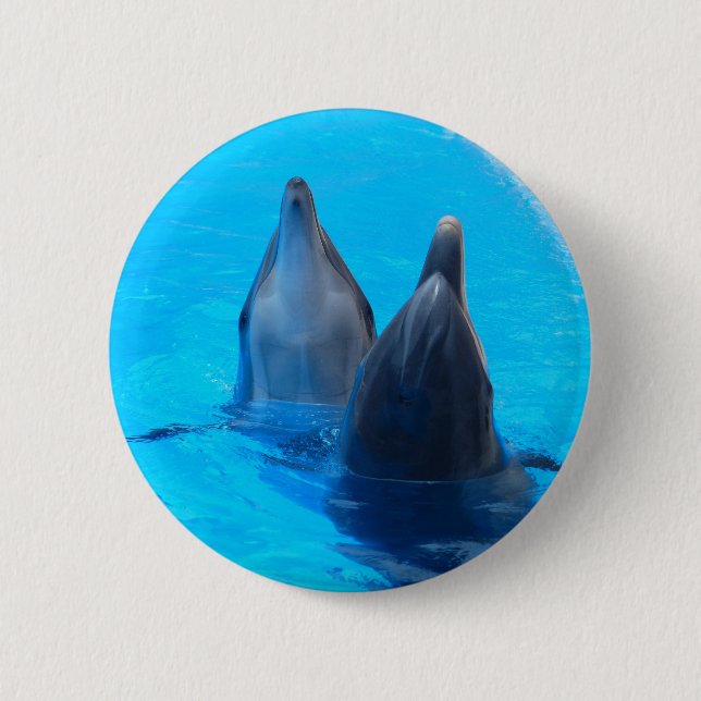 bottlenose dolphin fish marine ocean under water 2 inch round button (Front)