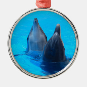 bottlenose dolphin fish marine ocean under water metal ornament