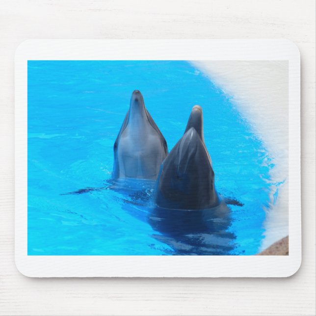 bottlenose dolphin fish marine ocean under water mouse pad (Front)