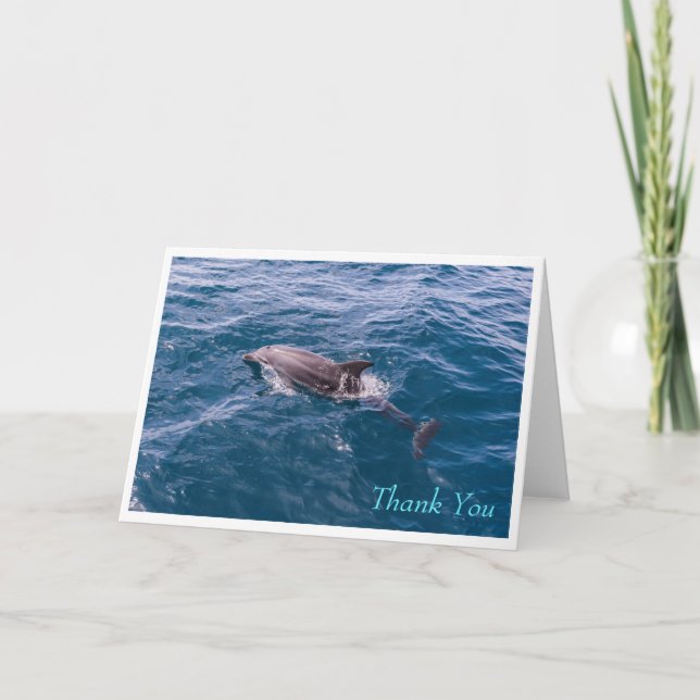 Bottlenose Dolphin Greeting Card (Front)