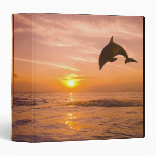 Bottlenose Dolphin jumping 2 Binder