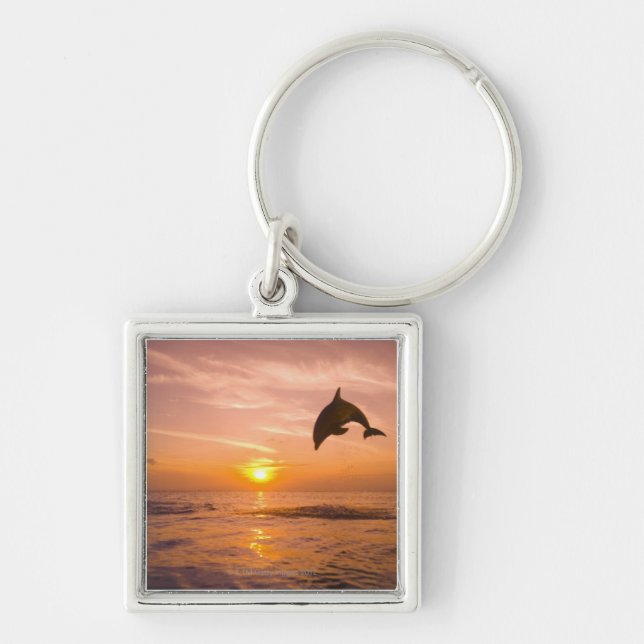 Bottlenose Dolphin jumping 2 Keychain (Front)