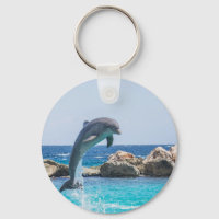 Bottlenose Dolphin