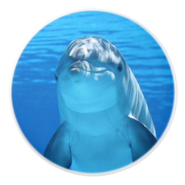 Bottlenose Dolphin looks at the camera under water Ceramic Knob (Front)
