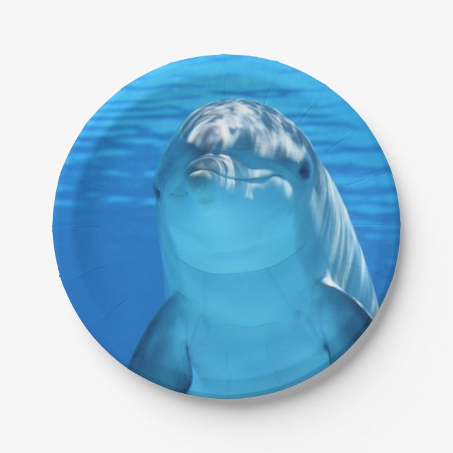 Bottlenose Dolphin looks at the camera under water Paper Plate (Front)