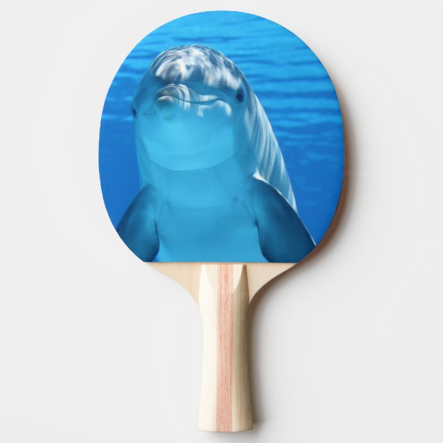Bottlenose Dolphin looks at the camera under water Ping Pong Paddle (Front)