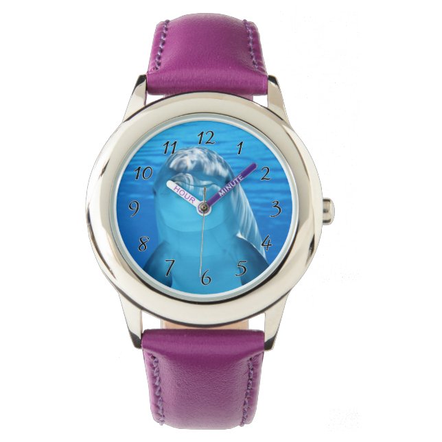 Bottlenose Dolphin looks at the camera under water Watch (Front)