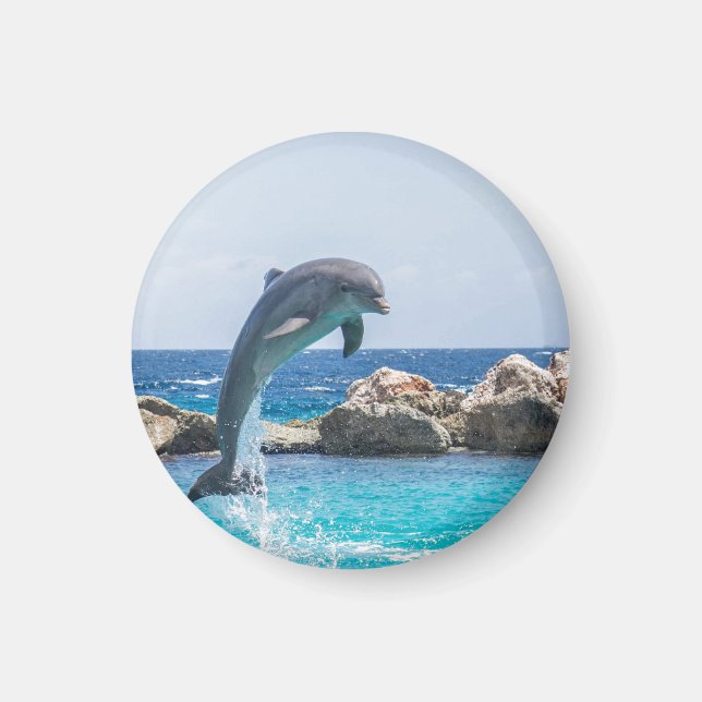 Bottlenose Dolphin Magnet (Front)