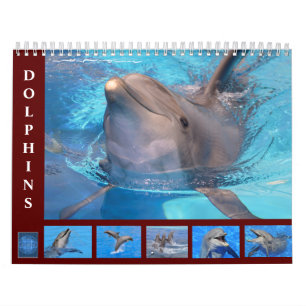 Bottlenose dolphins 12 month calendar
