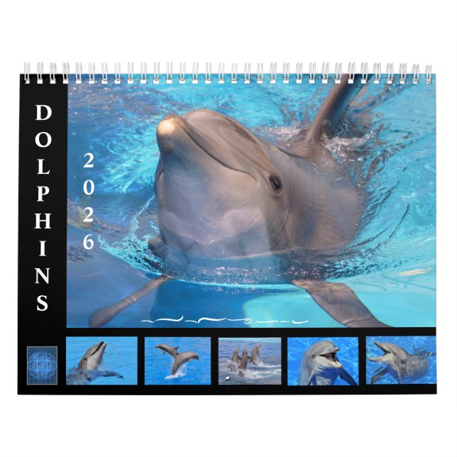 Bottlenose dolphins 12 month calendar (Cover)