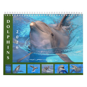 Bottlenose dolphins 12 month calendar