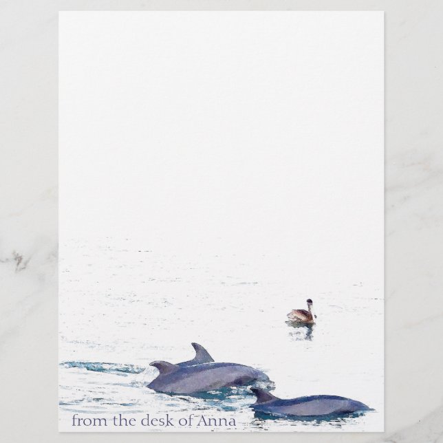Bottlenose Dolphins Letterhead (Front)