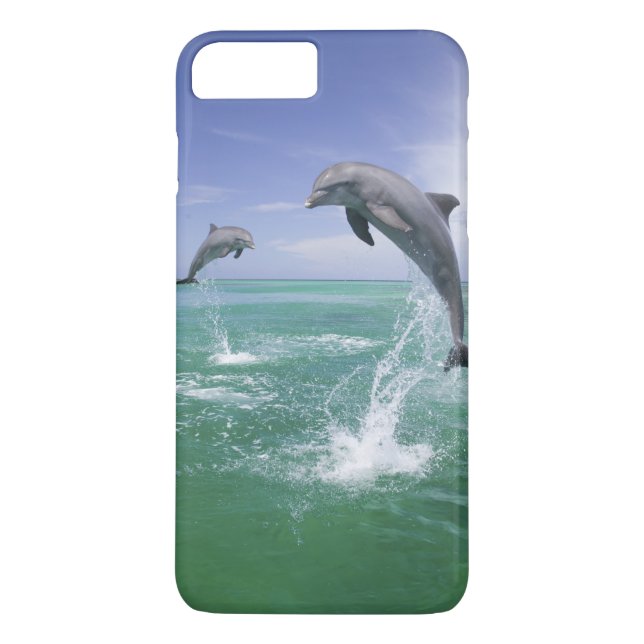 Bottlenose Dolphins Tursiops truncatus Case-Mate iPhone Case (Back)