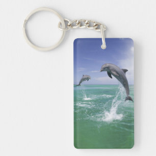 Bottlenose Dolphins Tursiops truncatus Keychain