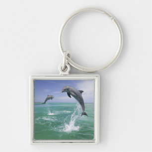 Bottlenose Dolphins Tursiops truncatus Keychain