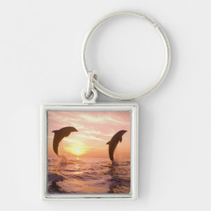 Bottlenose Dolphins Tursiops truncatus Keychain