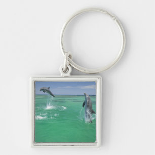 Bottlenose Dolphins Tursiops truncatus Keychain