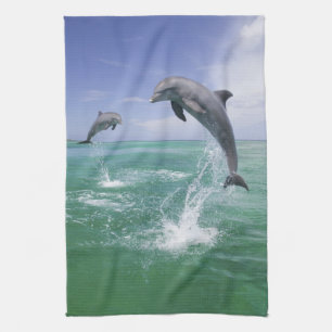 Bottlenose Dolphins Tursiops truncatus Kitchen Towel