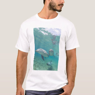 Bottlenose Dolphins Tursiops truncatus T-Shirt