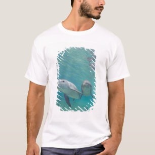 Bottlenose Dolphins Tursiops truncatus T-Shirt