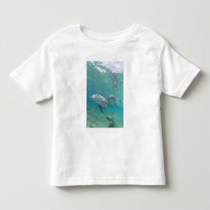 Bottlenose Dolphins Tursiops truncatus Toddler T-shirt