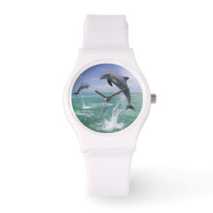 Bottlenose Dolphins Tursiops truncatus Watch