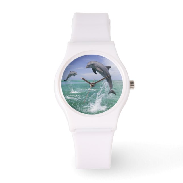 Bottlenose Dolphins Tursiops truncatus Watch (Front)