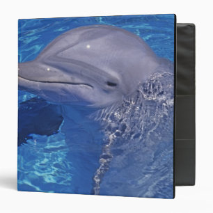 Bottlenosed Dolphin, Tursiops Truncatus Binder