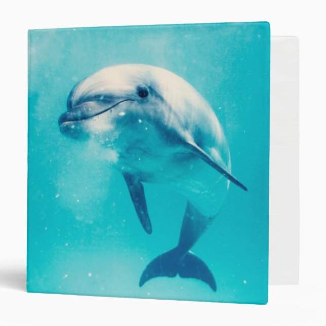 Bottlenosed Dolphin Underwater Binder (Front/Inside)