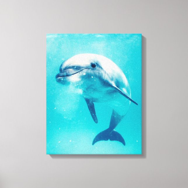 Bottlenosed Dolphin Underwater Canvas Print (Front)