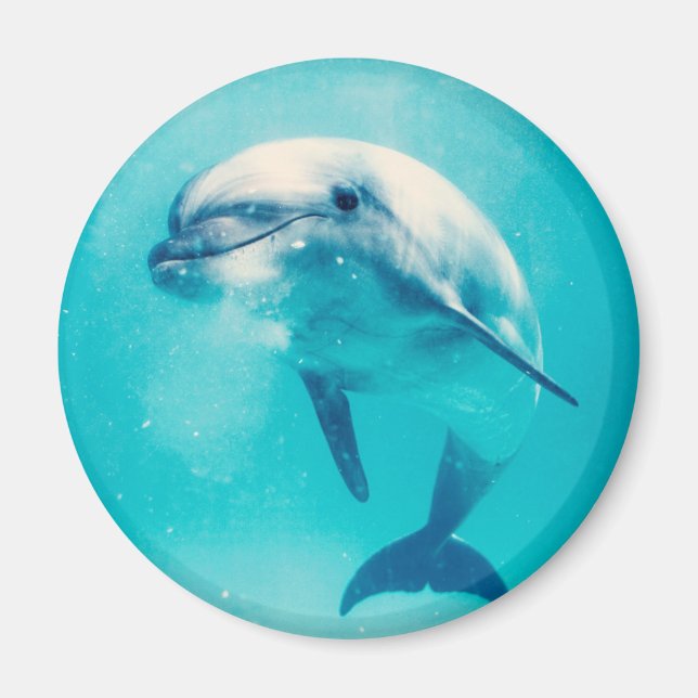 Bottlenosed Dolphin Underwater Magnet (Front)