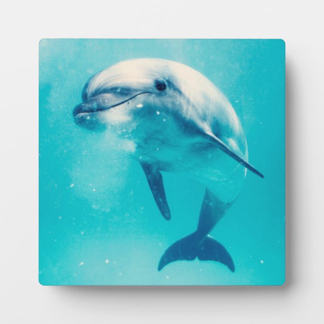 Bottlenosed Dolphin Underwater Plaque (Front)