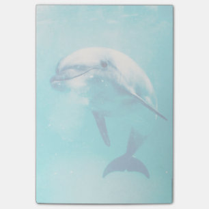 Bottlenosed Dolphin Underwater Post-it Notes
