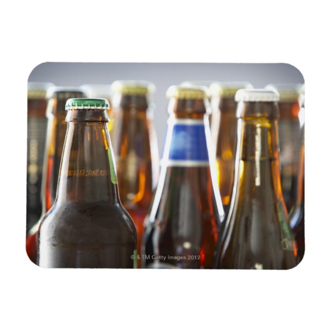 Bottles of various bottled beer in studio magnet (Horizontal)