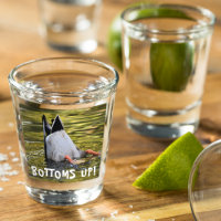 Bottoms Up Dunking Duck Photo