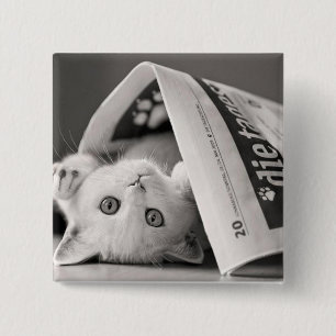 Botton Cat 2 Inch Square Button