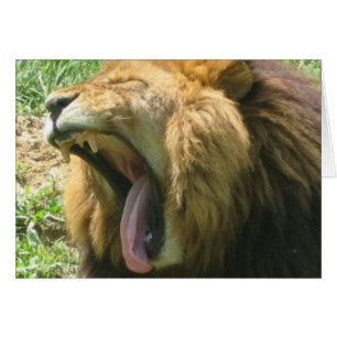 Bouche de lion
