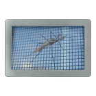 Boucle de ~ de moustique d'éléphant