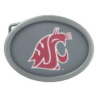 Puma de l'état de Washington