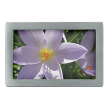 Jolie fleur de jardin pourpre. 美 丽 的 紫 色 花